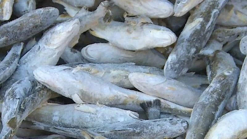 О реализации наваги 10 января