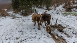 Саввин день 2025: что нельзя делать, народные приметы на 29 марта
