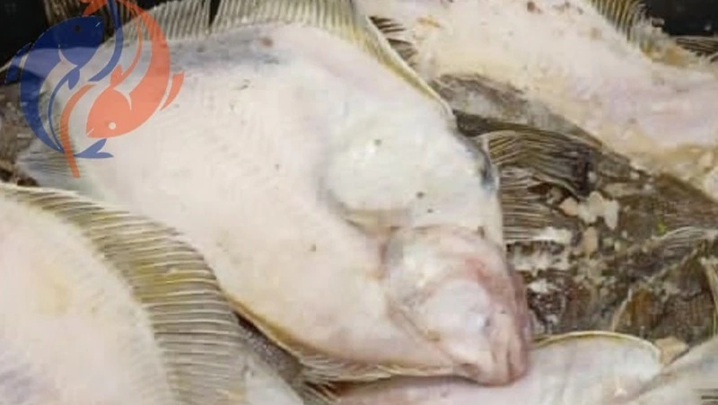 О реализации рыбы 4 ноября