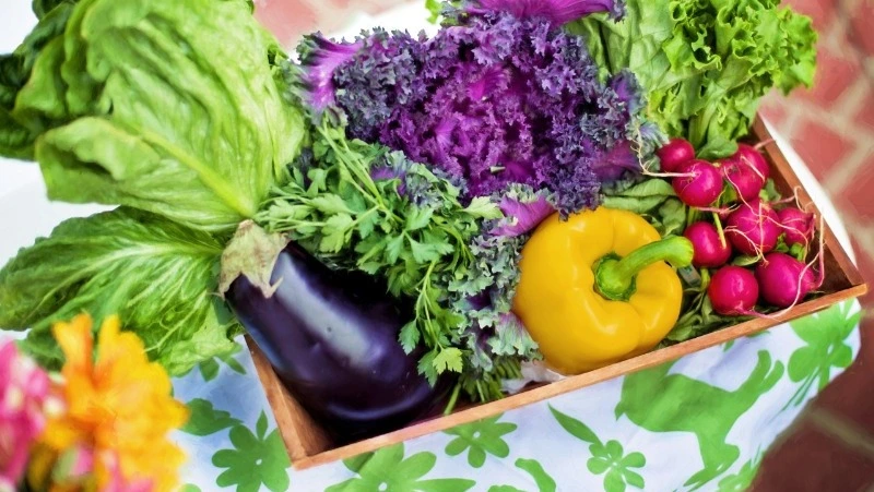 Александровским садоводам и огородникам напоминают о местах для продажи излишков урожая