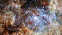 Гороскоп здоровья на неделю: Овны почувствуют прилив энергии, Львам следует избегать стресса