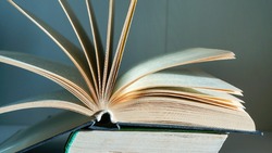 Тест на эрудицию: сможете ответить на 9/9 или это для вас сложно?