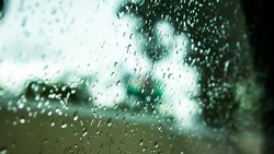 Местами небольшой дождь и туман: погода на Сахалине 14 августа