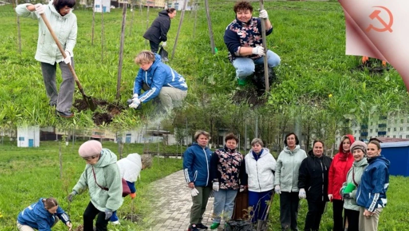Зеленый подарок городу