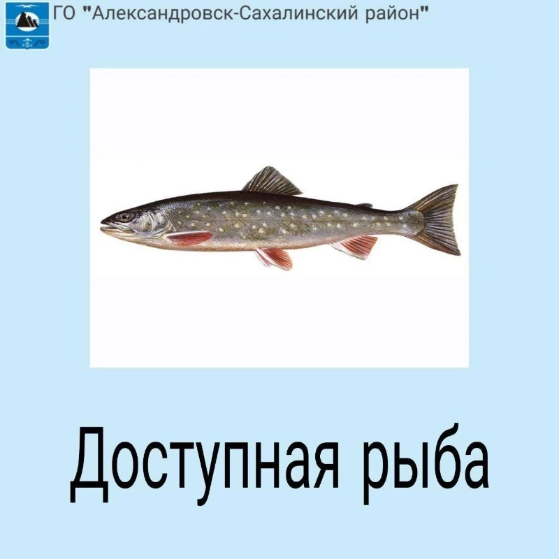 Доступная рыба