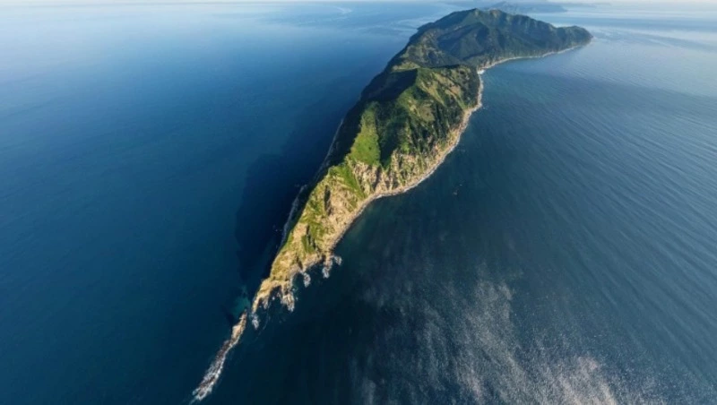 Александровцы могут принять участие в онлайн-конкурсе видеороликов и аудиоподкастов