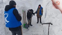 Молодёжь взялась за лопаты: общественные силы против непогоды