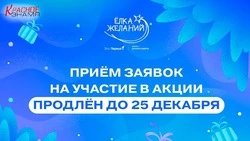 Приём заявок на участие в акции «Ёлка желаний» продлевается