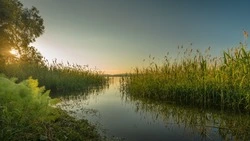 Приметы на 23 июня 2025: что нельзя делать в Тимофеев день