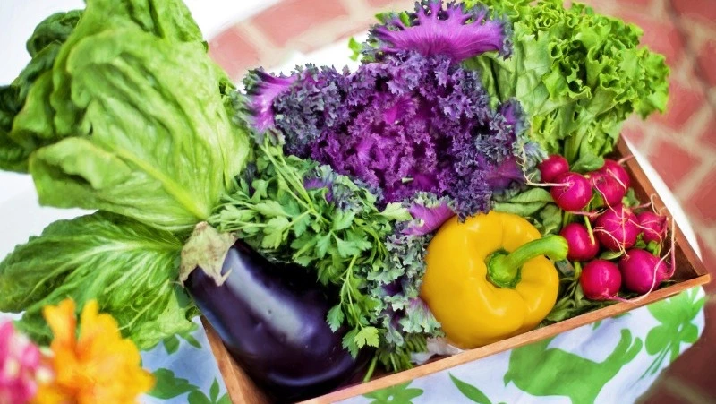 Александровским садоводам и огородникам напоминают о местах для продажи излишков урожая