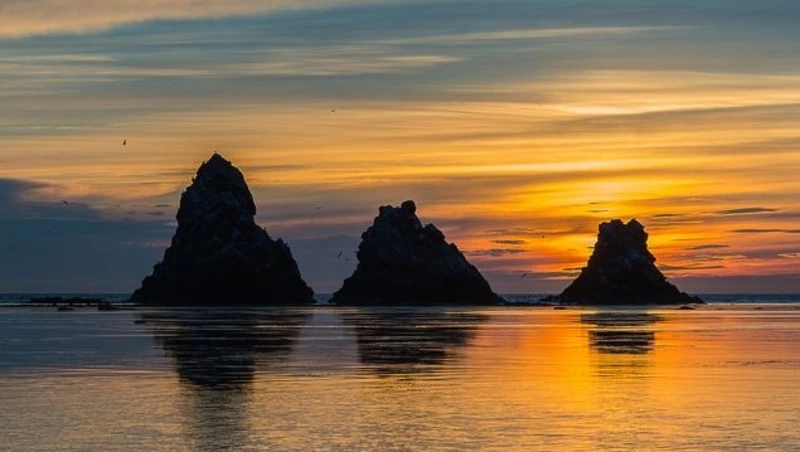 Мэр и председатель Собрания поздравили александровцев с Днем города