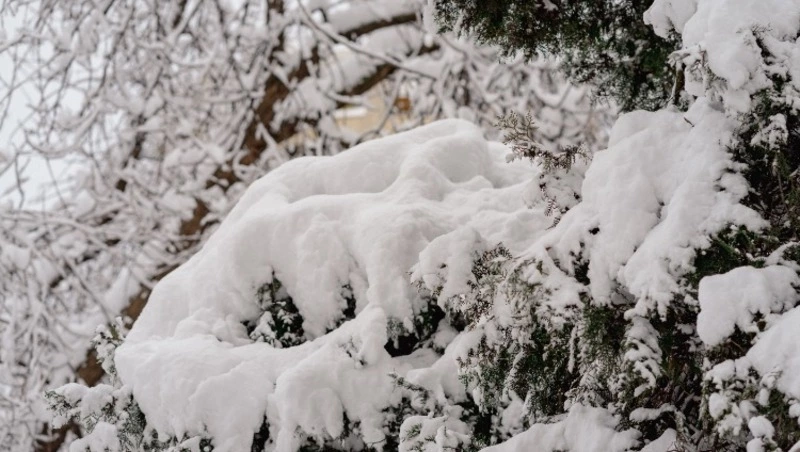 Церковный праздник 10 февраля 2024 года: приметы, что нельзя делать в этот день