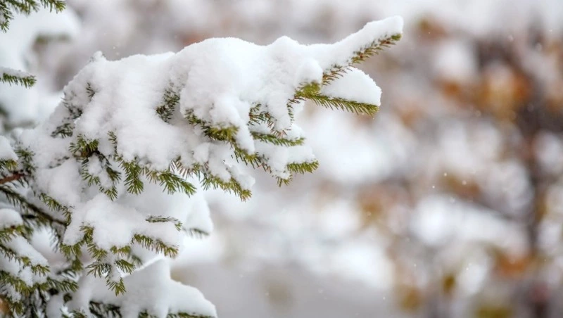 Церковный праздник 11 февраля 2024 года: приметы, что нельзя делать в этот день