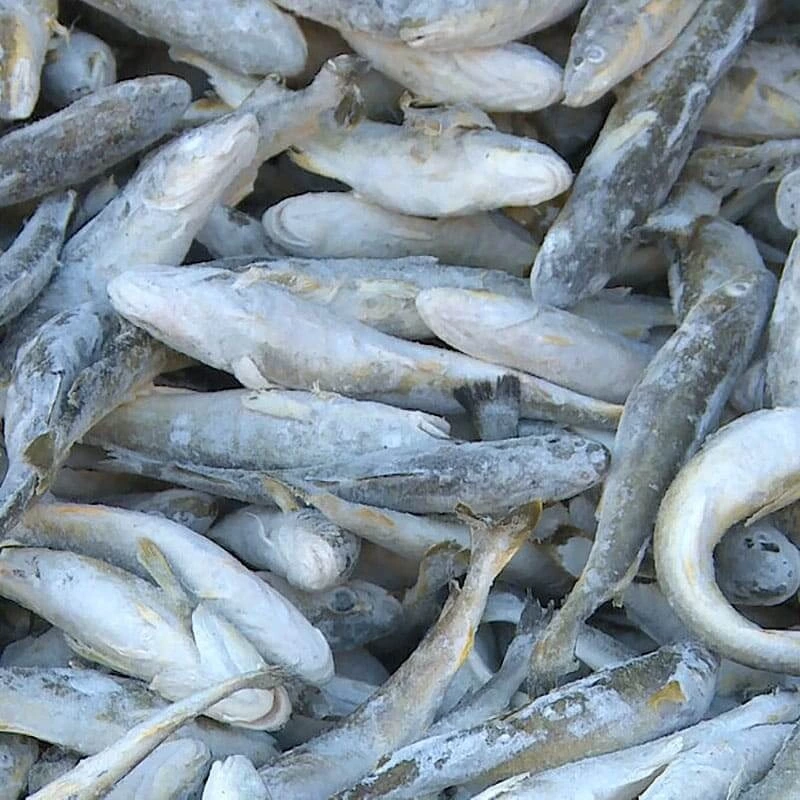 О реализации рыбы 17.01.2024 г.