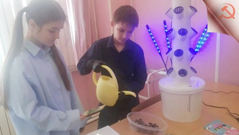 Гидропоника в действии: юные исследователи посадили помидоры и ягоды