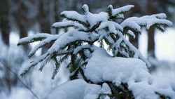 Синоптики озвучили прогноз погоды в Сахалинской области на 14 февраля