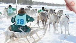 Сахалинские депутаты поддерживают создание Комитета национальных и неолимпийских видов спорта