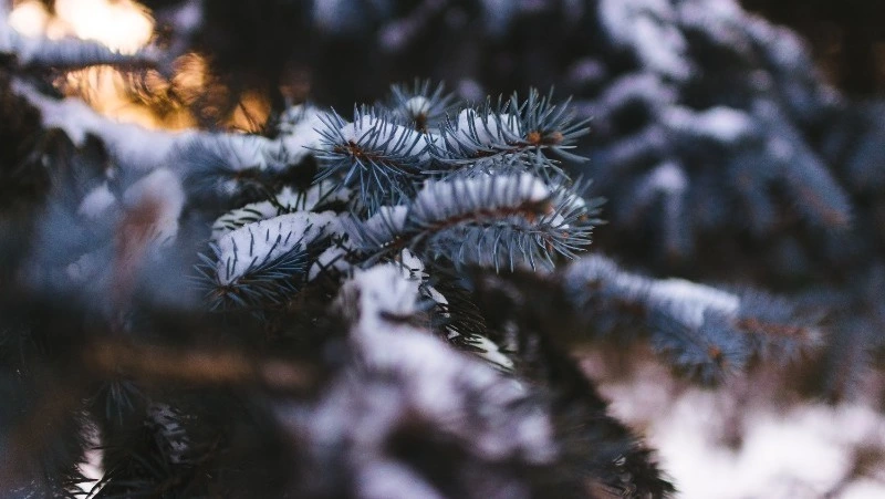 Церковный праздник 11 января 2024 года: приметы, что нельзя делать в этот день