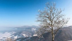 Какая погода будет на Сахалине и Курилах 11 апреля