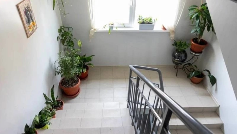 В Сахалинской области началось голосование за подъезды образцового содержания