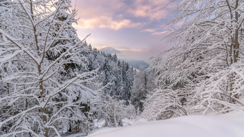 Народные приметы на 3 февраля 2024: что нельзя делать в этот день