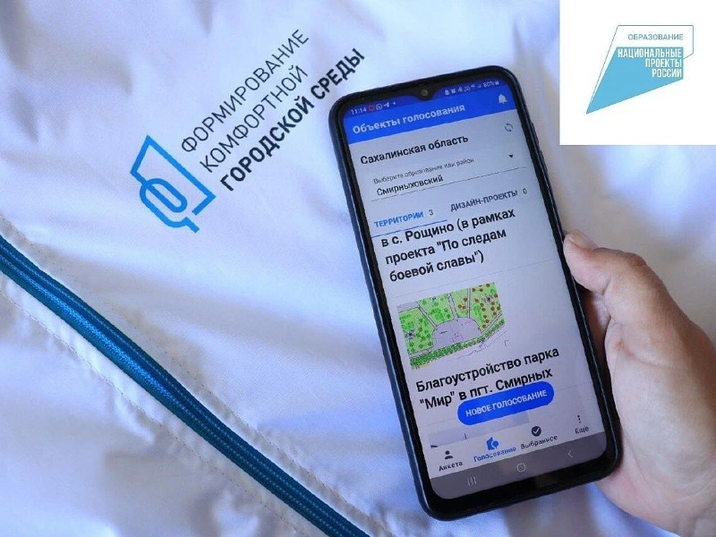 Сахалинские волонтеры уже отработали 28 690 заявок в голосовании за объекты благоустройства