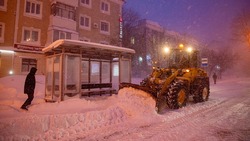 Прогноз погоды в Сахалинской области на неделю: метель и сильный снег