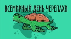 Всемирный день черепахи 2025: картинки с поздравлениями