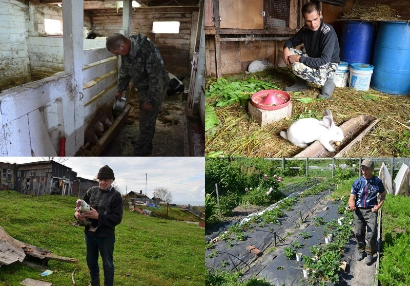 Сегодня отмечается День работников сельского хозяйства и перерабатывающей промышленности