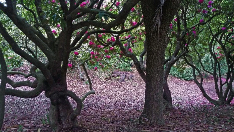 Народные приметы на 19 мая 2024: что нельзя делать в этот день