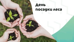 Всероссийский день посадки леса 2025: открытки к празднику