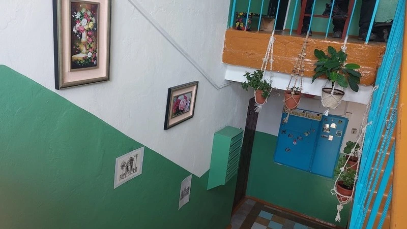 «Все растения зацвели»: обычный подъезд в Александровске-Сахалинском превратили в сад