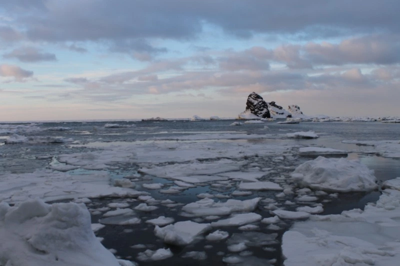 О создании знака качества Сахалинской области