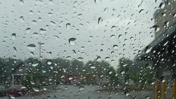 Дождливую и ветреную погоду пообещали синоптики на Сахалине 25 апреля