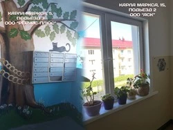 «Острова.65» решат, чей подъезд достоин звания образцового