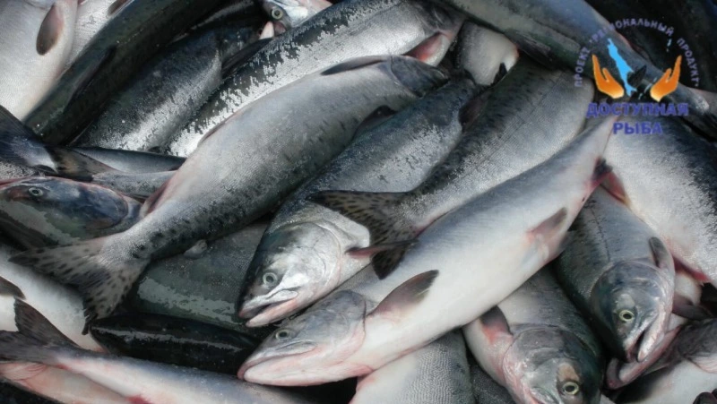 О реализации рыбы