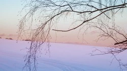 Прогноз погоды в Сахалинской области на 2 февраля: небольшой снег и мороз