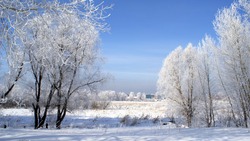 Сильный мороз ожидается на Сахалине 6 февраля