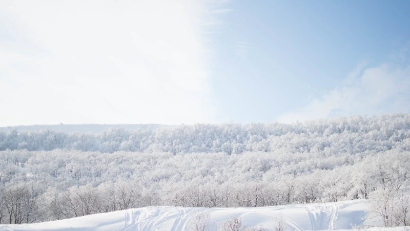 Небольшой снег и до -35 градусов ожидается на Сахалине 22 декабря