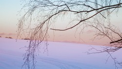 Прогноз погоды в Сахалинской области на 2 февраля: небольшой снег и мороз
