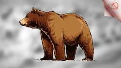 На Сахалине увеличили сроки охоты на бурого медведя