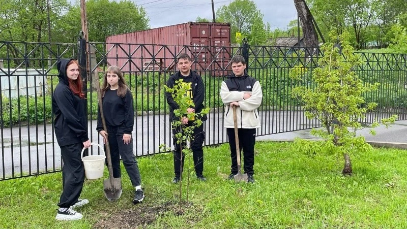 Учащиеся школы села Мгачи приняли участие в акции «Сад памяти»