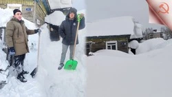 Добрые руки против зимних сугробов