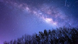 Гороскоп на 12 мая 2025 года для каждого знака зодиака