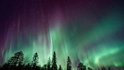 Гороскоп на 4 января 2024 года для каждого знака зодиака