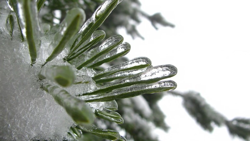 Прогноз погоды в Сахалинской области на неделю: снег, ветер и морозы