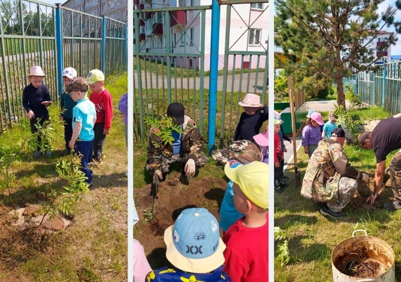 В «Светлячке» озеленяют территорию