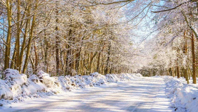 Народные приметы на 5 декабря: что нельзя делать в Прокопьев день