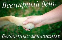 Всемирный день бездомных животных-2024: подборка открыток и картинок