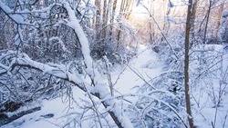 Снег и порывистый ветер ожидаются на Сахалине и Курилах 19 марта 